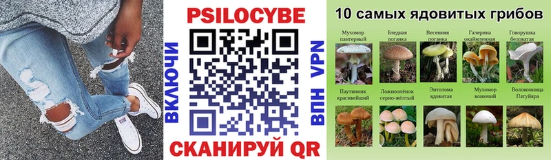 Галлюциногенные грибы GOLDEN TEACHER  omg зеркало  Красный Кут  купить наркоту 