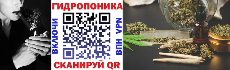 Шишки марихуана гибрид  Красный Кут 